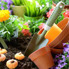 Gardening, Horticulture & Landscaping